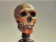 Pierwszy przypadek zespołu Downa wśród neandertalczyków: odkrycie badania