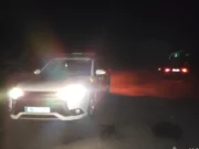 Pijani kierowcy próbowali uniknąć kary łapówką w obwodzie sumskim