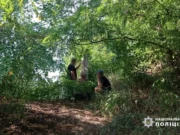 Uderzenie nożem w Korsuniu-Szewczenkowskim: reanimacja dla poszkodowanego